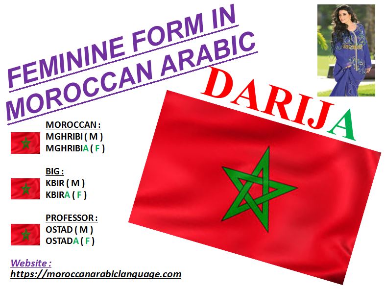 learn about moroccan arabic feminine form in darija